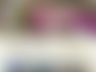 【4月29日】東広島の史跡・文化財を見て歩く会開催!【東広島のあけぼのから現在、未来へ】