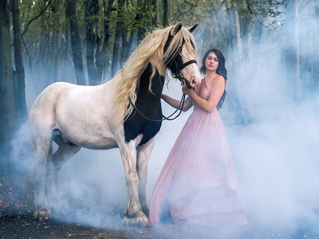 Hertfordshire Equine Fine Art Photography Session