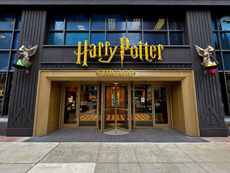 ✨ The Harry Potter Store ✨