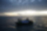 DSC09215.JPG