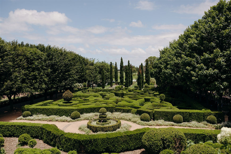 A view over a green garden maze with buxus bushes in the middle of the paths, and tall green pines in the background. Blue skies with minimal clouds.
