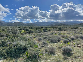 Grond te koop op slechts 250 meter van het strand