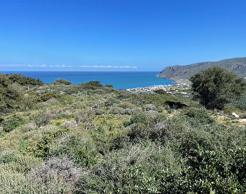 Prime Investment:
Land with Spectacular Views for Hotel Resort or Villas in Crete