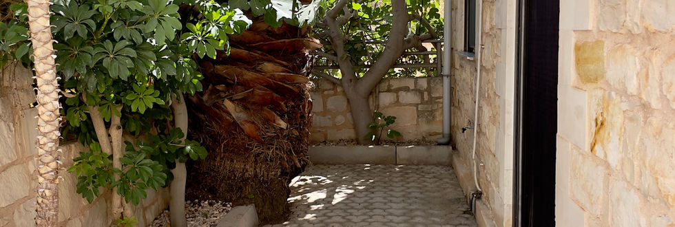 Idyllic corner for planting flowers and plants in the outdoor area of a house for sale near Hersonissos, Crete. Enhanced by the presence of a towering palm tree and a fig tree, this charming space promises a lush and inviting environment for gardening enthusiasts within this desirable Cretan property.
