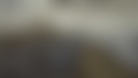 中国牛柏叶:独特风味与历史的交织