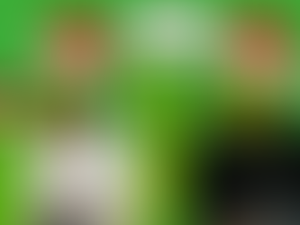 An ERO and MOE show: How the Grinches Stole Education