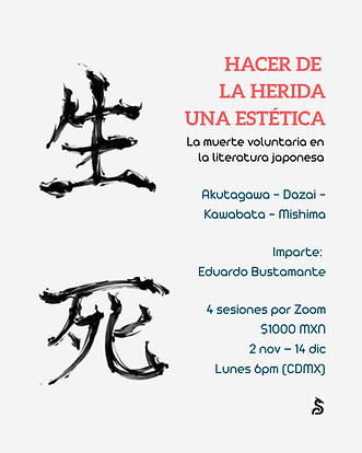 SJ Flyer.png