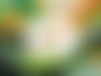 How to Add Subtitles to Final Cut Pro