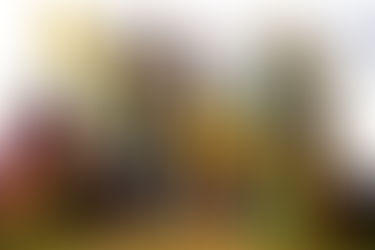 SÃO JOÃO DO SEU TEODORO COMEMORA 60 ANOS NO DF