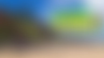 UMA SEMANA EM PIPA - O QUE FAZER NESSE PARAÍSO DO RIO GRANDE DO NORTE?