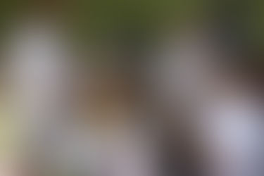 DE GRAÇA: PROJETO ARTE BRASIL CONTA COM OFICINAS DE TRABALHOS DE MANUAIS NO ITAPOÃ