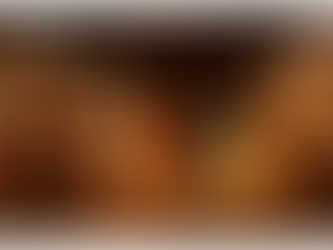 MOSTRA DULCINA E A PROFISSIONALIZAÇÃO DE ARTISTAS DO DF