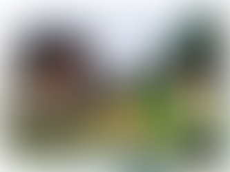 EXPOSIÇÃO "ESPELHO SONORO" NA CAIXA CULTURAL BRASÍLIA