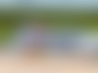 BARCO REGATÃO ATRACA EM TERRITÓRIO INDÍGENA NO RIO ARAPIUNS - PA