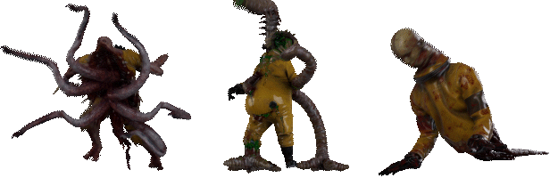 Entity.gif