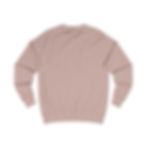 Thumbnail: Crew neck Sweatshirt