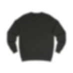 Thumbnail: Crew neck Sweatshirt