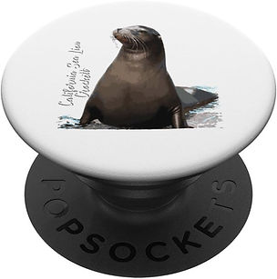 California Sea Lion Crockett Pop Sockets.jpg