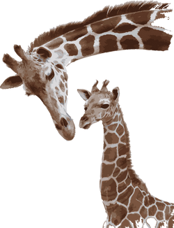Save Giraffes