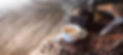 AdobeStock_106171925.jpeg