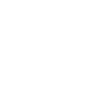logo dji.png