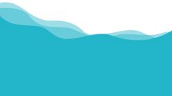 fondo bebocado copia 3.png