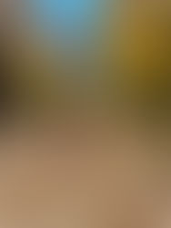 All Around Thankful...