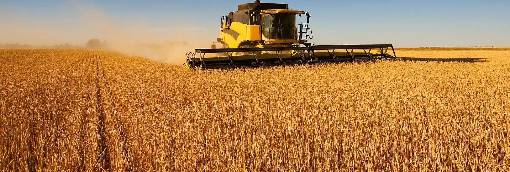 Harvest Work