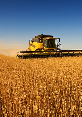 Harvest Work