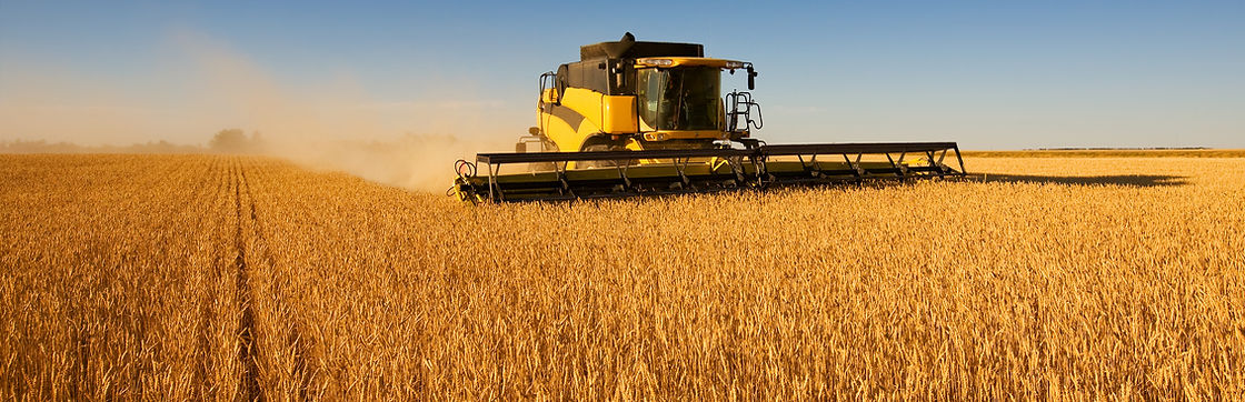 Harvest Work