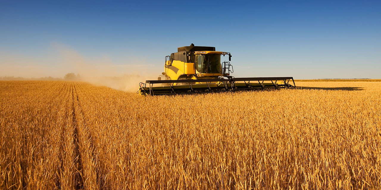 Harvest Work