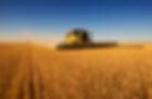 Harvest Work