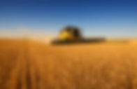Harvest Work