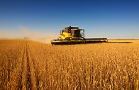 Harvest Work