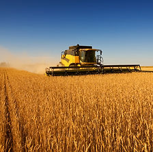 Harvest Work