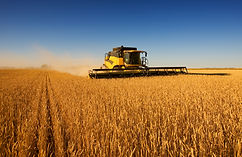 Harvest Work