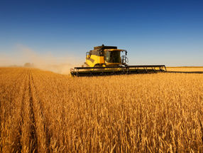 THE FUTURE OF FOOD: LEARNING FROM NATURE TO REDUCE DEPENDENCE ON OIL IMPORTS