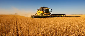 Tencys AgriGPT Harvest Season