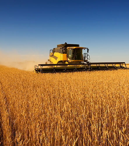 Harvest Work