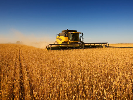 REAPING WHAT YOU SOW!