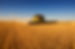 Harvest Work