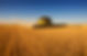 Harvest Work