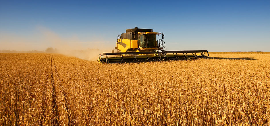 Harvest Work