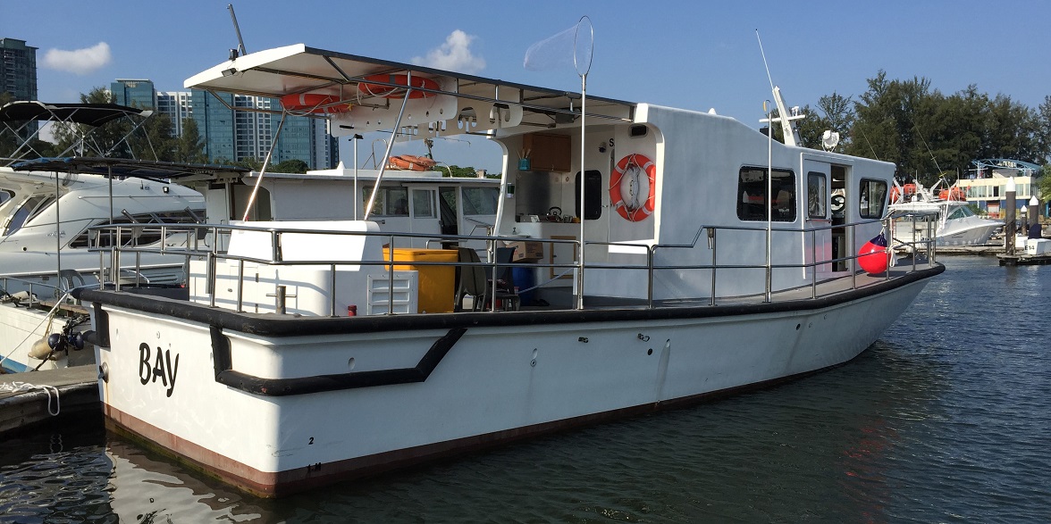 Singapore Fishing Charter Day and night fishing, island hopping!