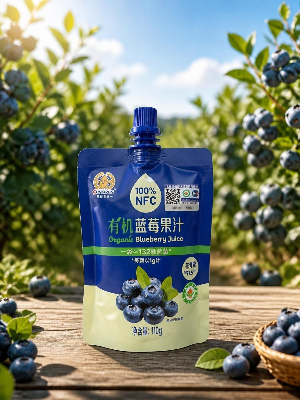 Organic Blueberry juice (110g/ pack)