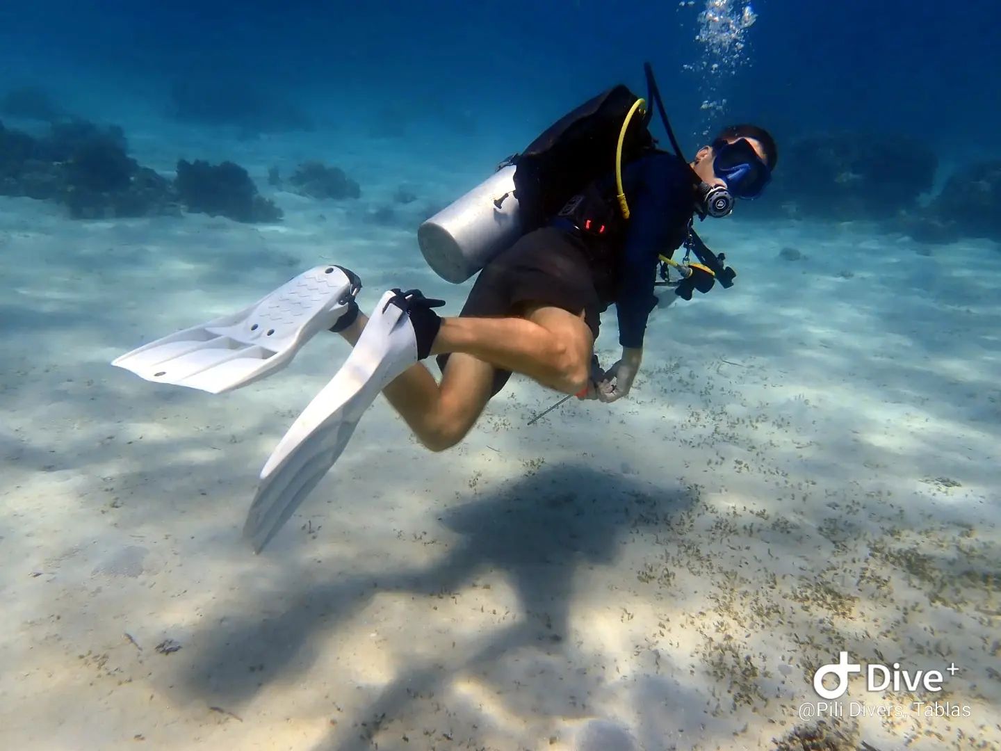 Tablas Pro Scuba | PADI courses | Cabali-an, Santa Fe, Tablas Island ...