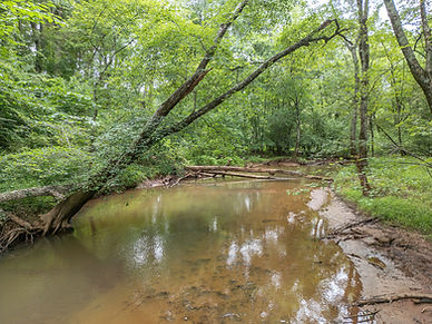 DJI_0446.jpg