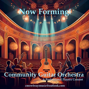 guitar orchestra auditions.png.jpg