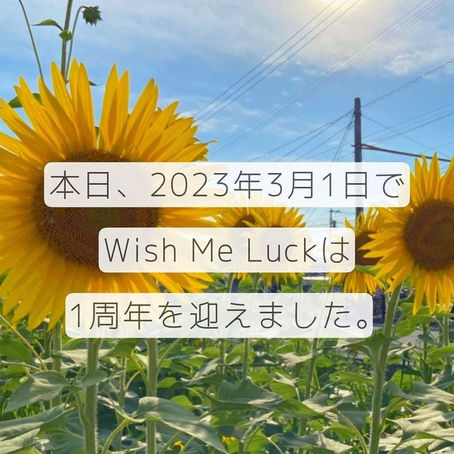 設立1周年を迎えました