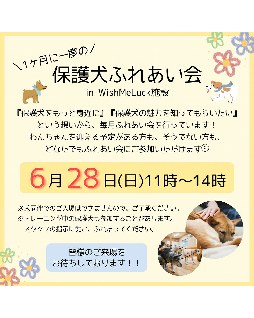 6月のふれあい会のご案内📣